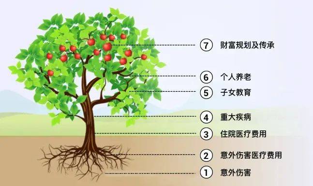 财富管理与保险配置理念图尊龙凯时app21个家庭(图7)